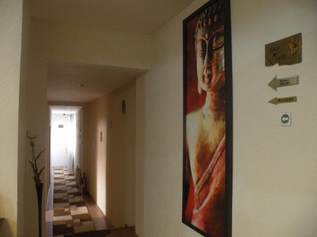Pension Cleopatra Targu Mures Exterior photo