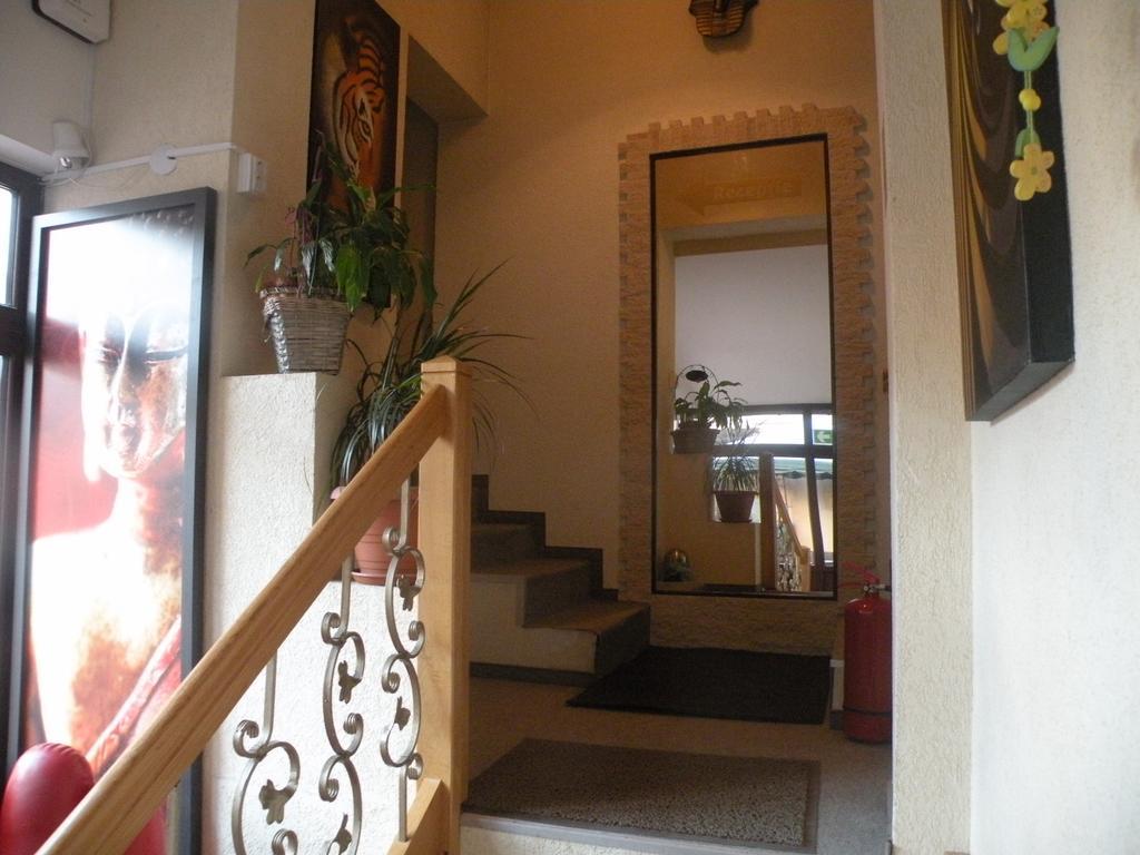 Pension Cleopatra Targu Mures Exterior photo